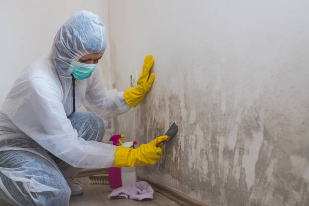 Asbestos and Lead Testing During Mold Inspection in Wagoner, OK