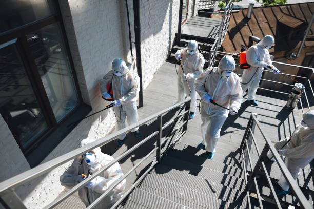 Best Asbestos and Lead Testing During Mold Inspection  in Wagoner, OK