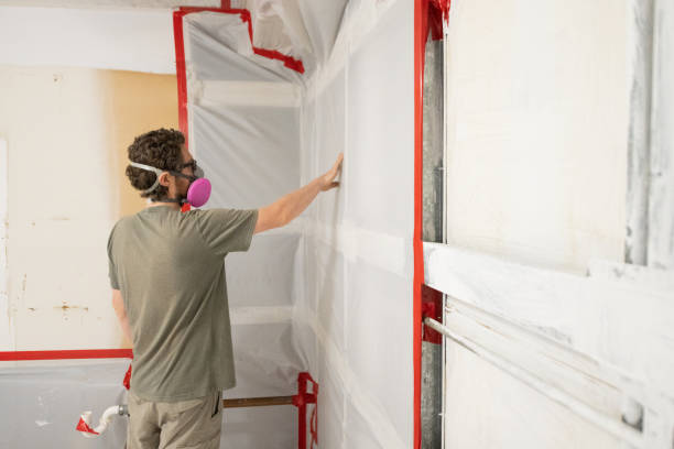 Best Mold Remediation for Healthcare Facilities  in Wagoner, OK
