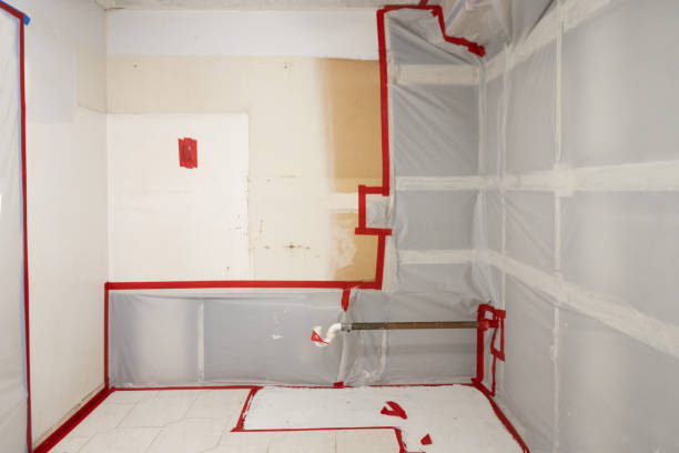 Best Commercial Mold Inspection  in Wagoner, OK