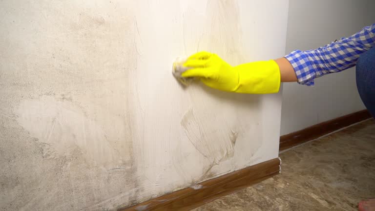 Best Mold Prevention Services  in Wagoner, OK